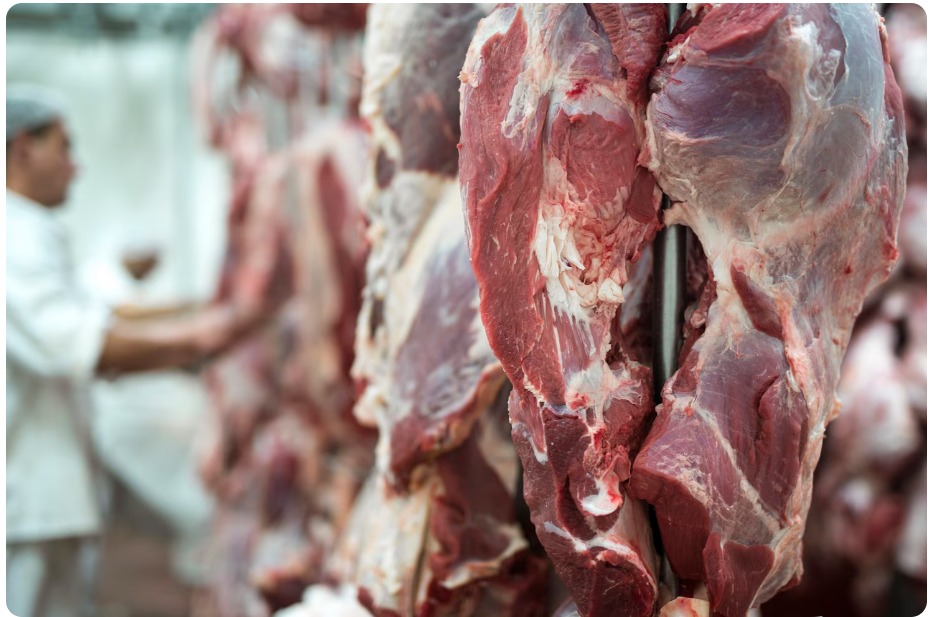 Premium halal meat supply